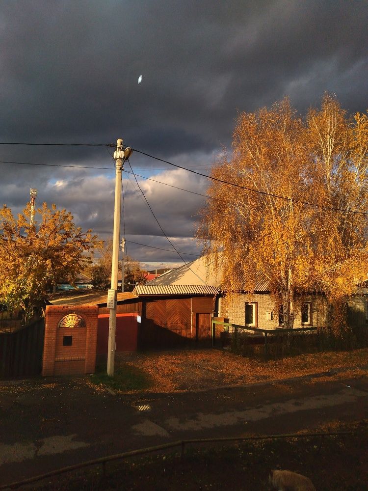 Photograph by Татьяна Николаевна