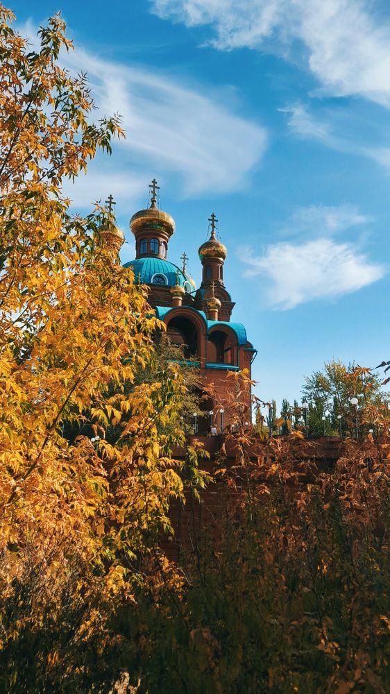 Фотография автора Анна Морозова