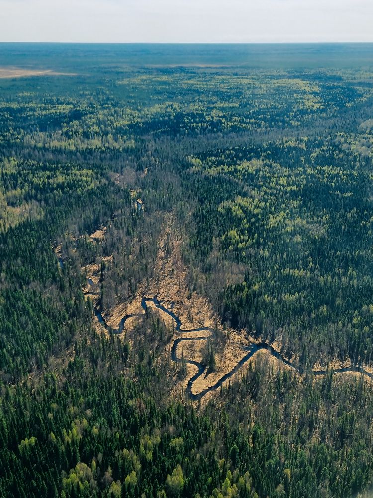 Photograph by Ольга