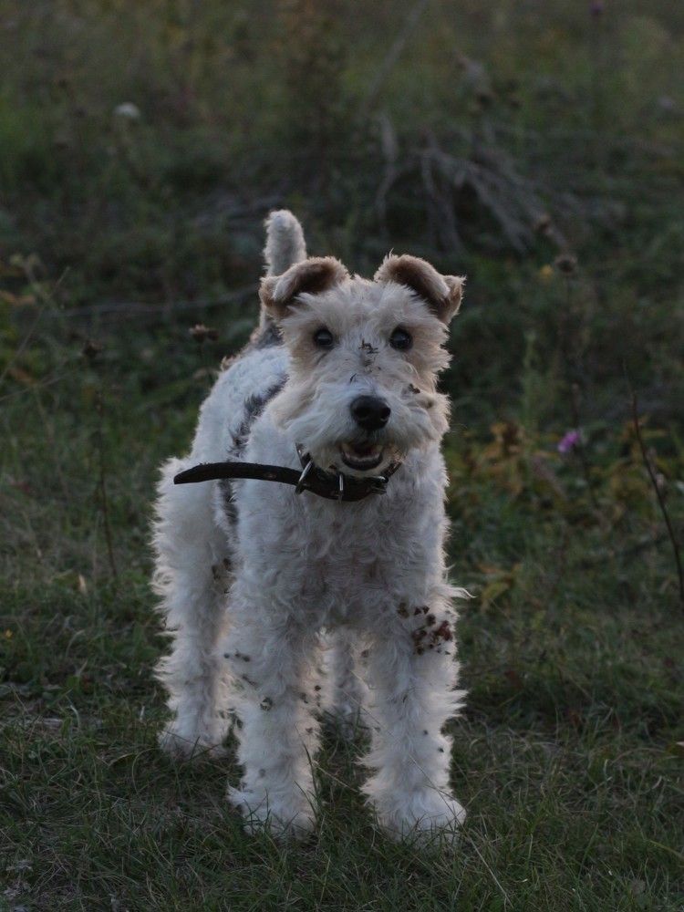 Photograph by Екатерина Сафронова