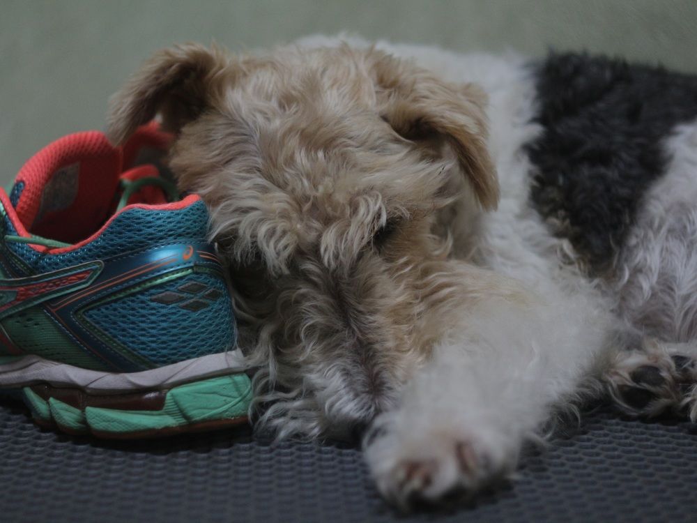 Photograph by Екатерина Сафронова