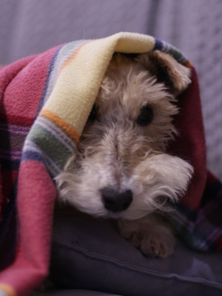 Photograph by Екатерина Сафронова