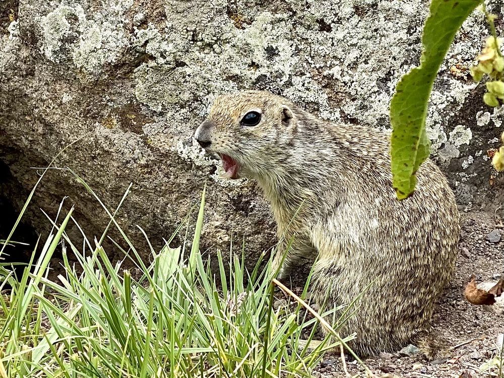 Photograph by Ольга Одаренко