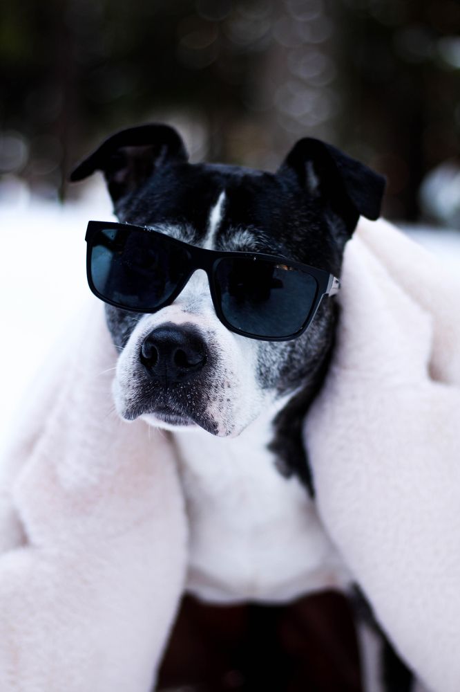 Photograph by Евгений Белов