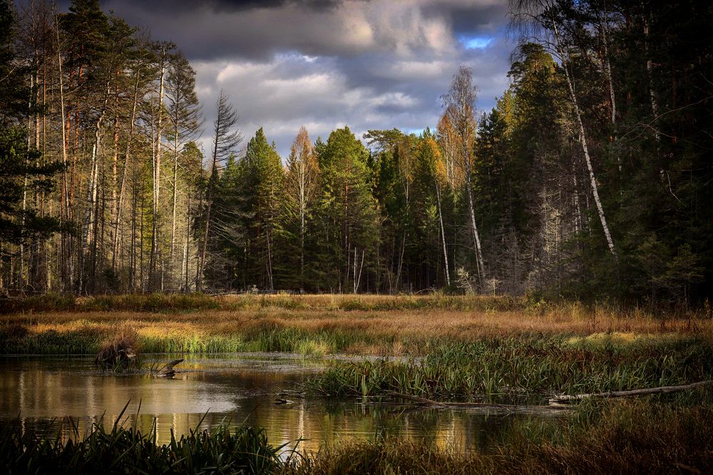 Фотография автора Павел Мартюшев