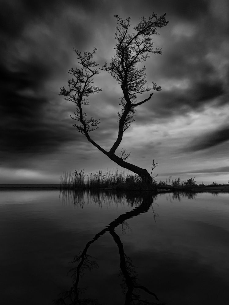 Photograph by Дмитрий Грошиков