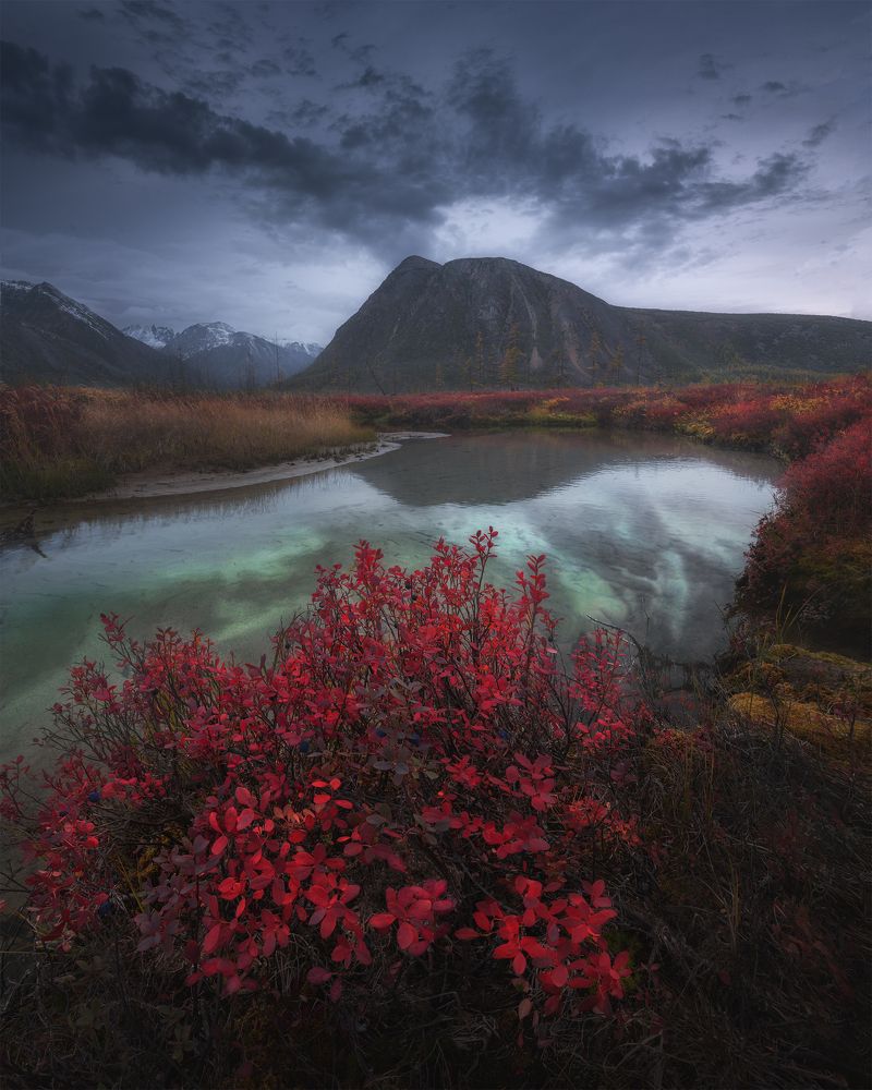 Photograph by Политова Анна