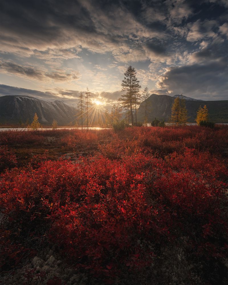 Photograph by Политова Анна