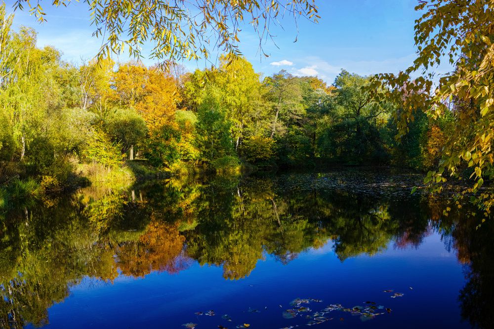 Photograph by Алексей Бирин