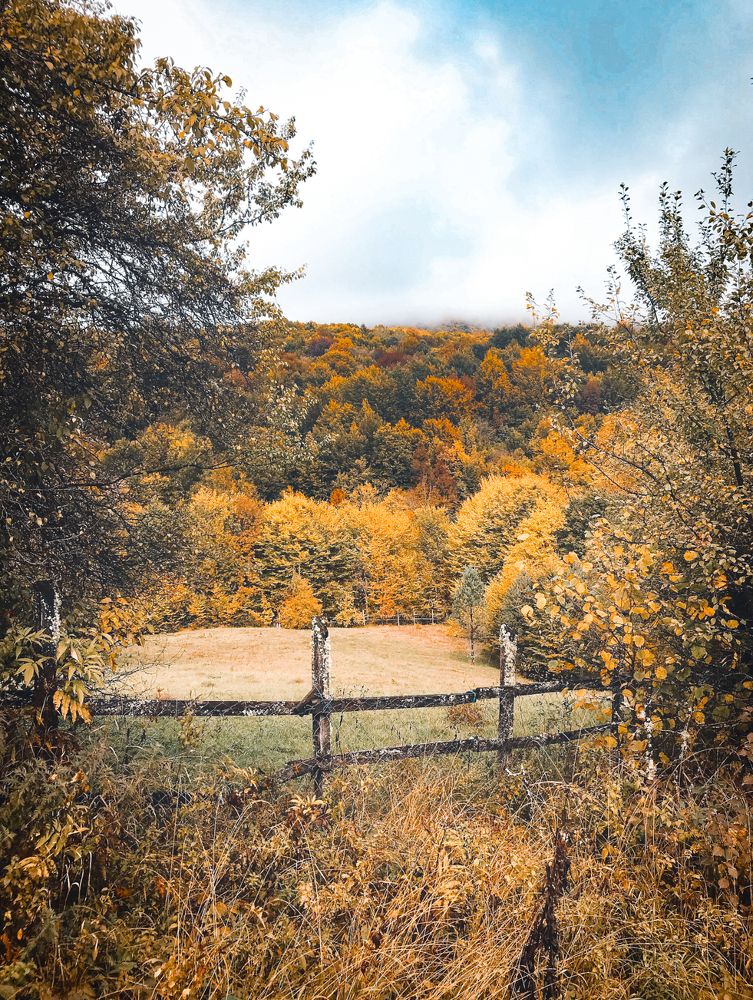 Photograph by Яна Сел