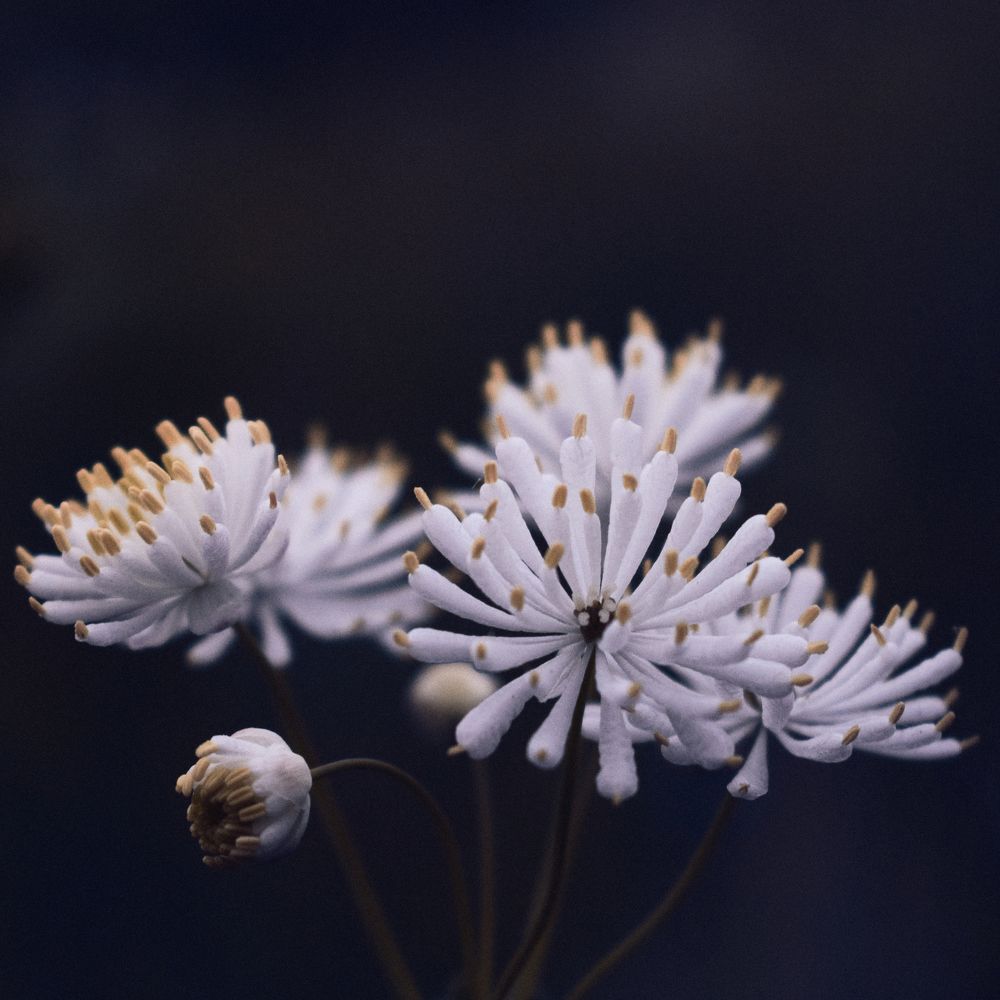 Photograph by Антон Истомин