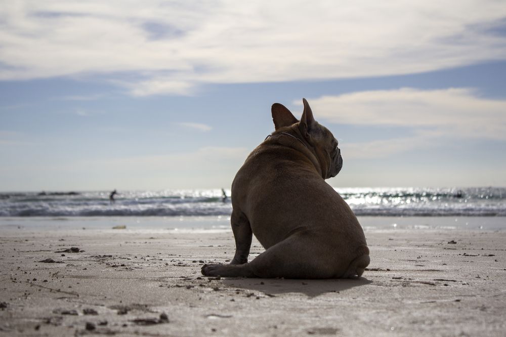 Photograph by Юлия Ковешникова