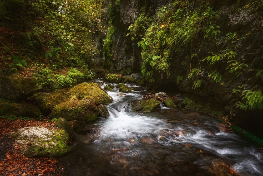 Photograph by Соколова Елена