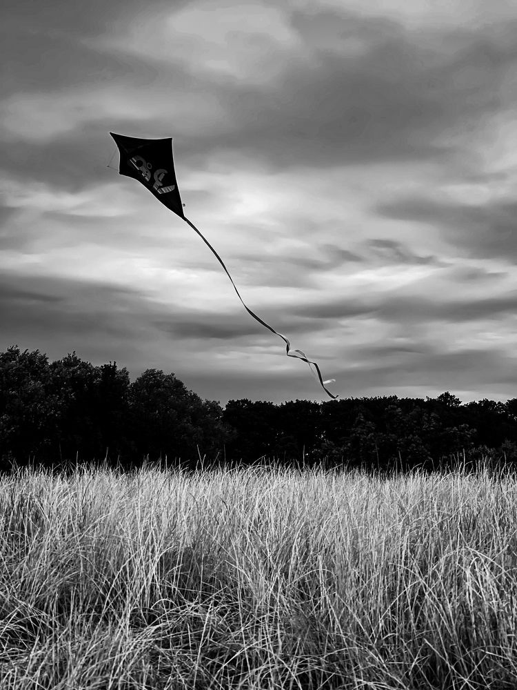 Photograph by daria eipert