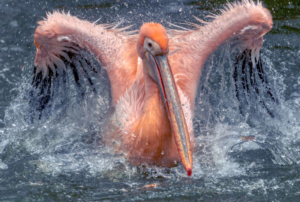 Photograph by Aleš Maučec