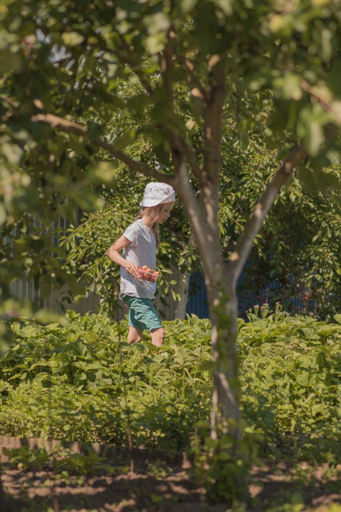 Photograph by Виктория Абрамова