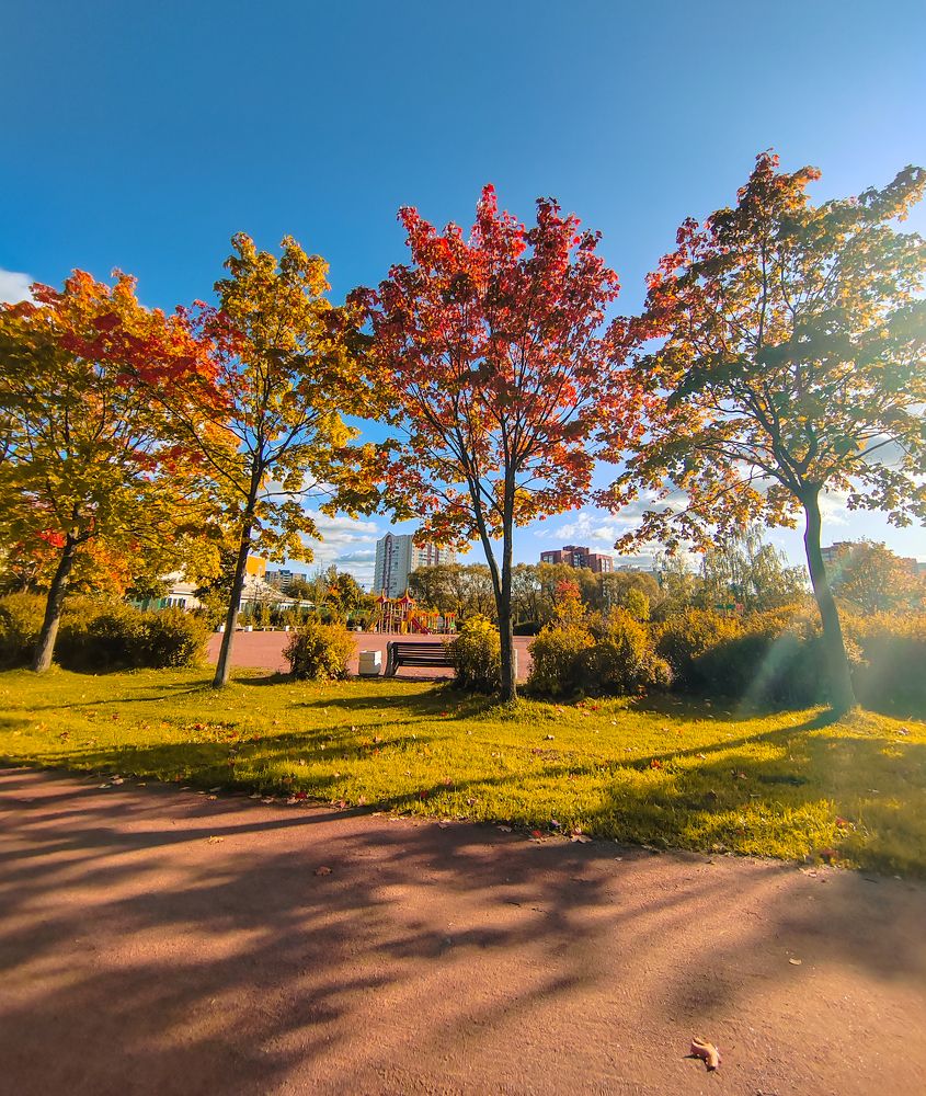 Photograph by Людмила Сарыцина