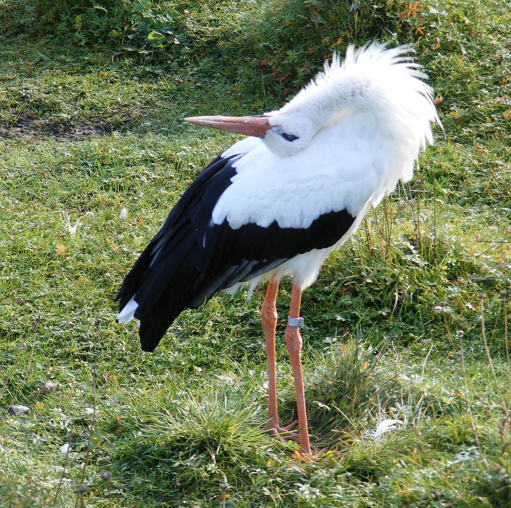 Photograph by Pjotr Alekseev