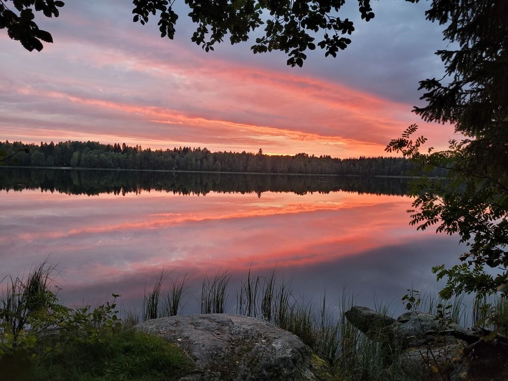 Photograph by Елена Попова