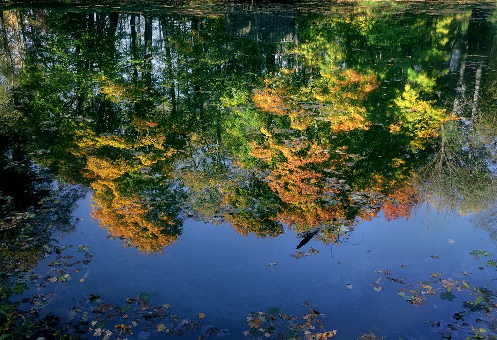 Photograph by Анатолий Веремеев