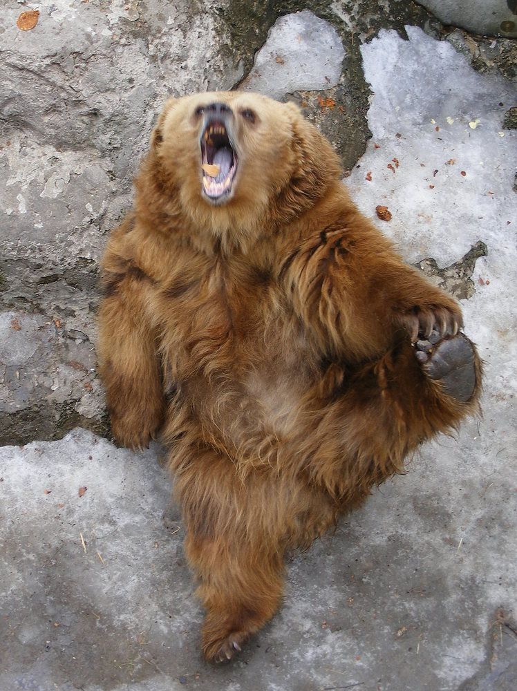 Photograph by Pjotr Alekseev