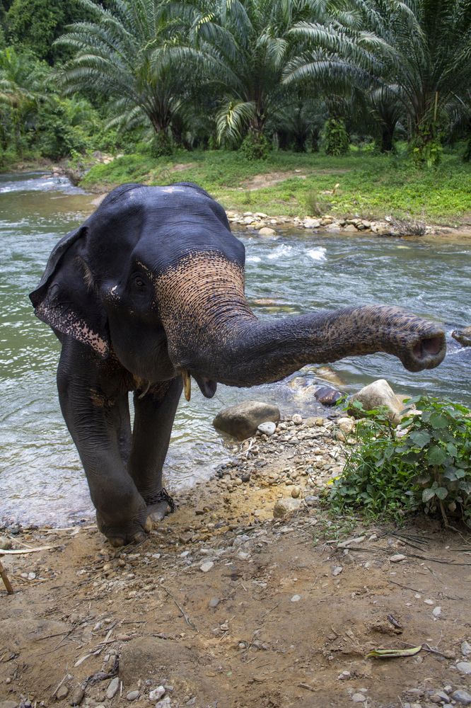 Photograph by Юлия Ковешникова