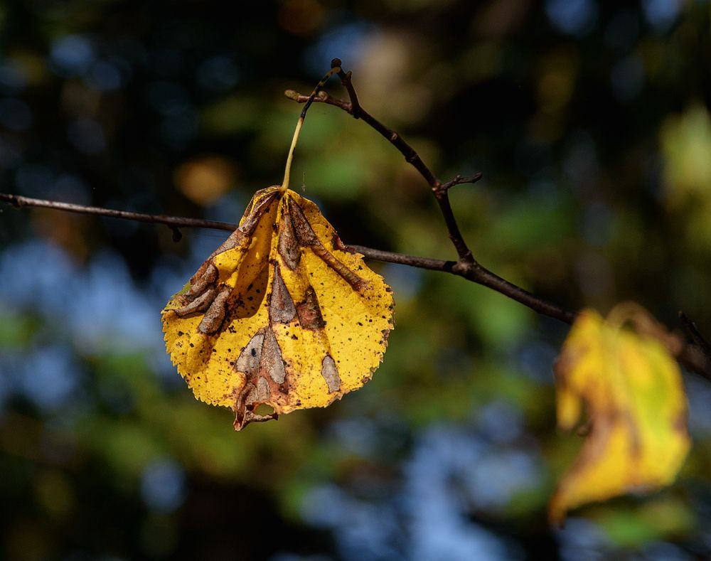 Photograph by Анатолий Веремеев