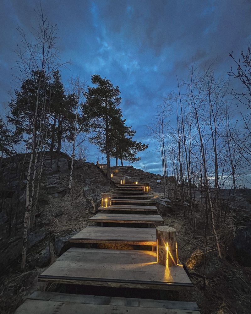 Карельский лес