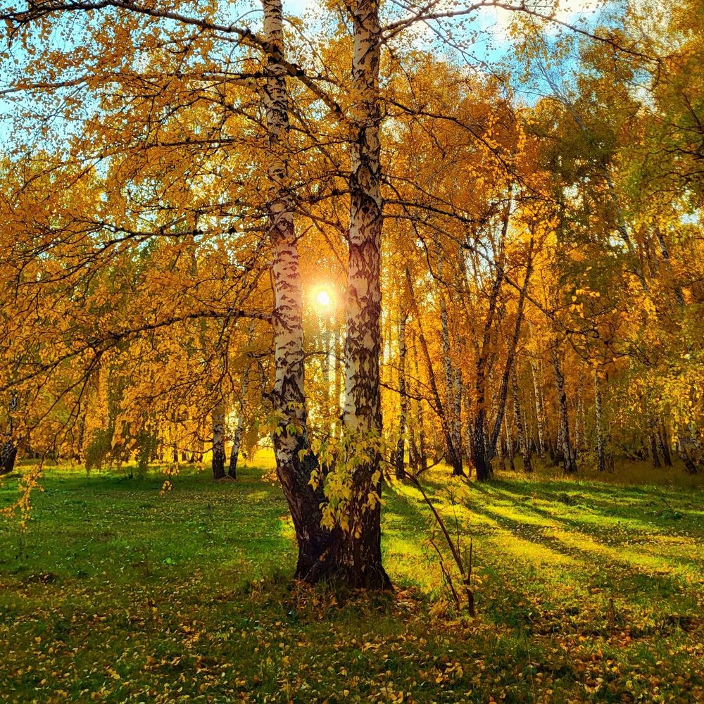 Photograph by Pavel Vorobev