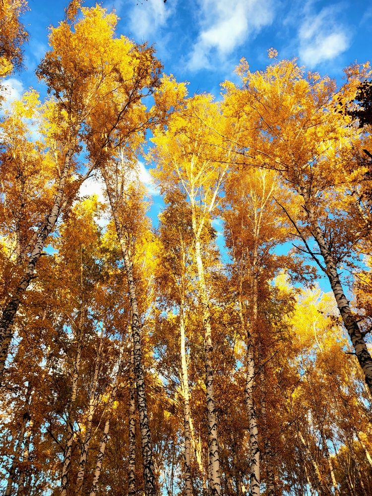 Photograph by Pavel Vorobev