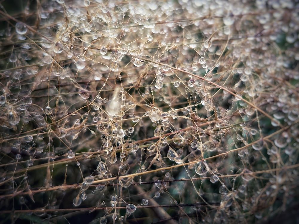 Photograph by Ekaterina Fadeeva