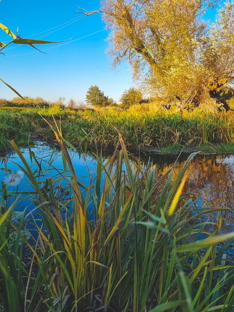 Photograph by Ирина Герлин