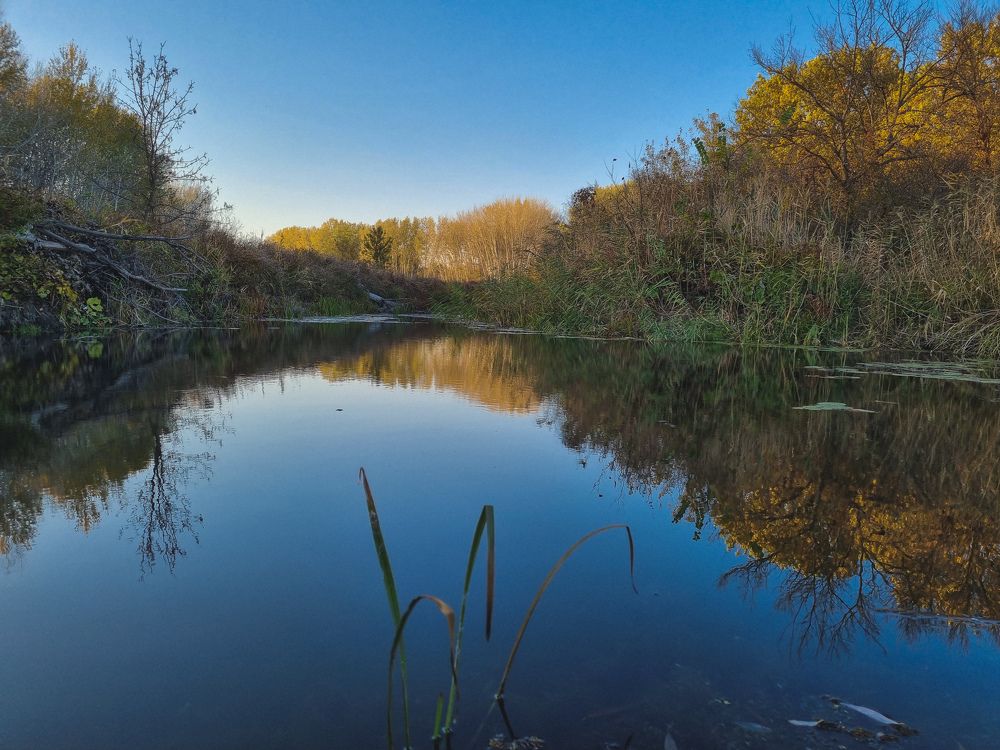 Photograph by Ирина Герлин