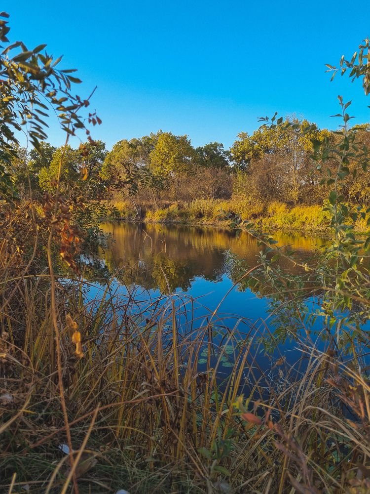 Photograph by Ирина Герлин