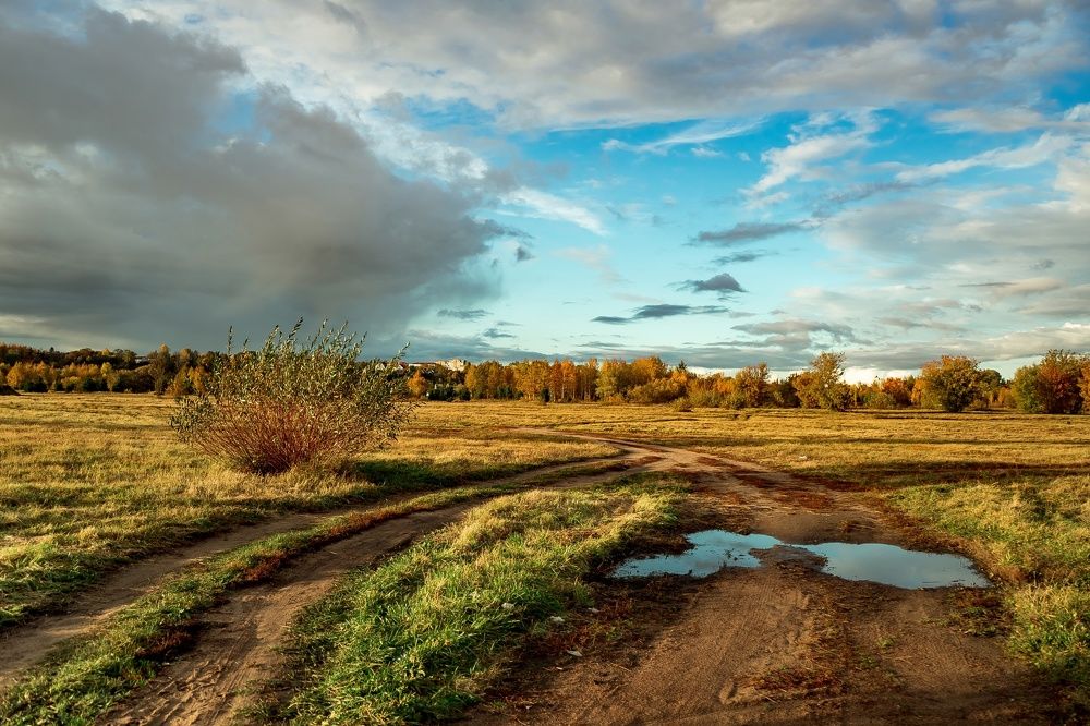 Фотография автора Александр Сенчуров