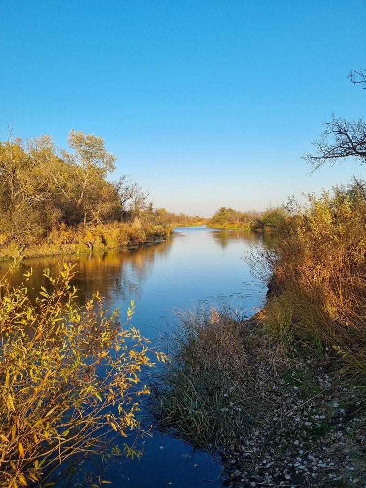 Photograph by Ирина Герлин