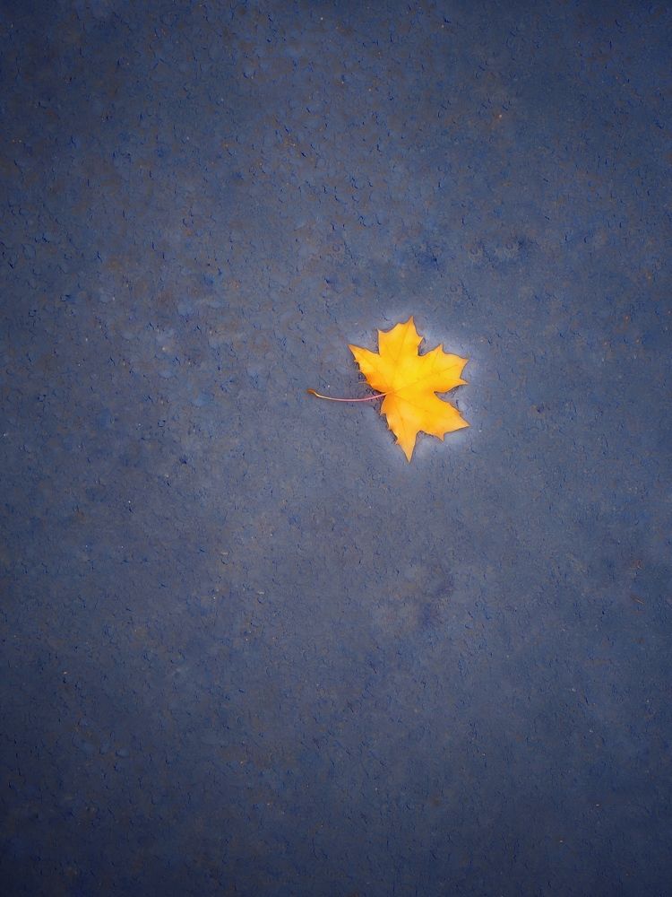 Photograph by Evgenia Privalova