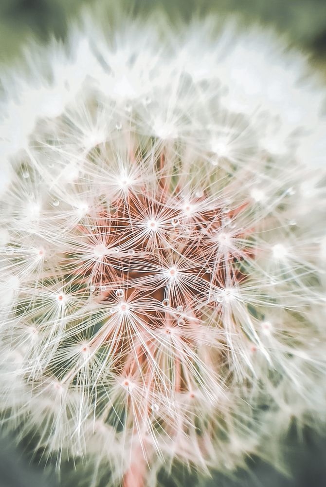 Photograph by Ольга Ситникова