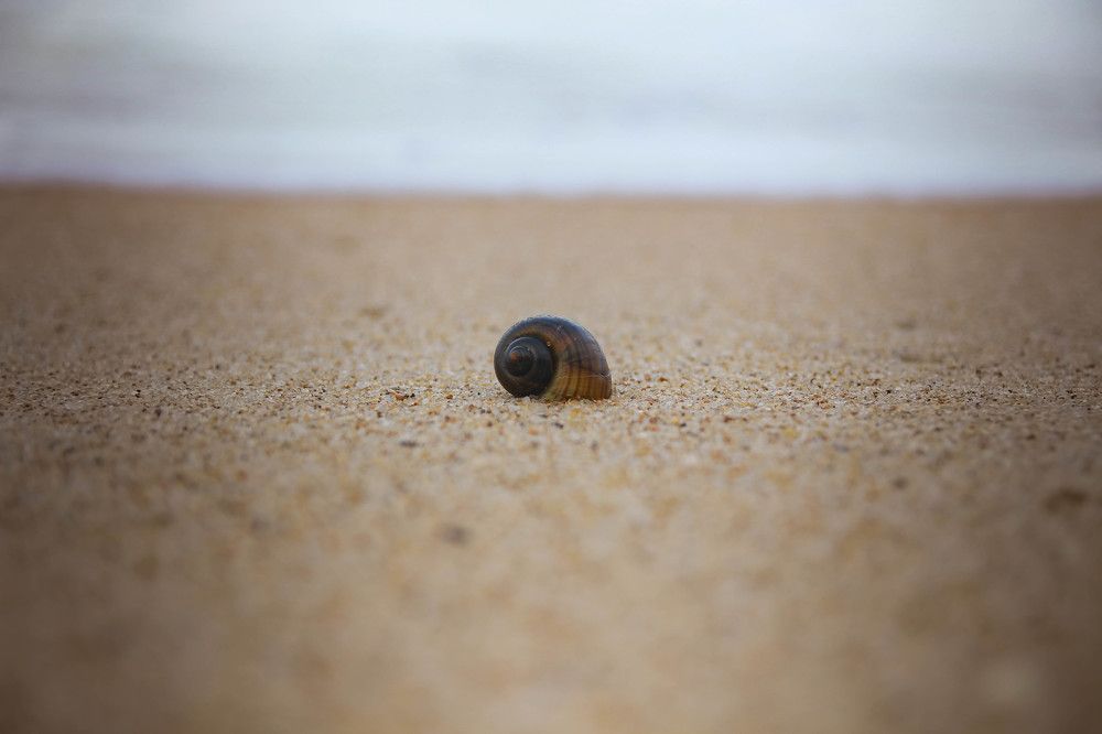 Photograph by Людмила Савчук