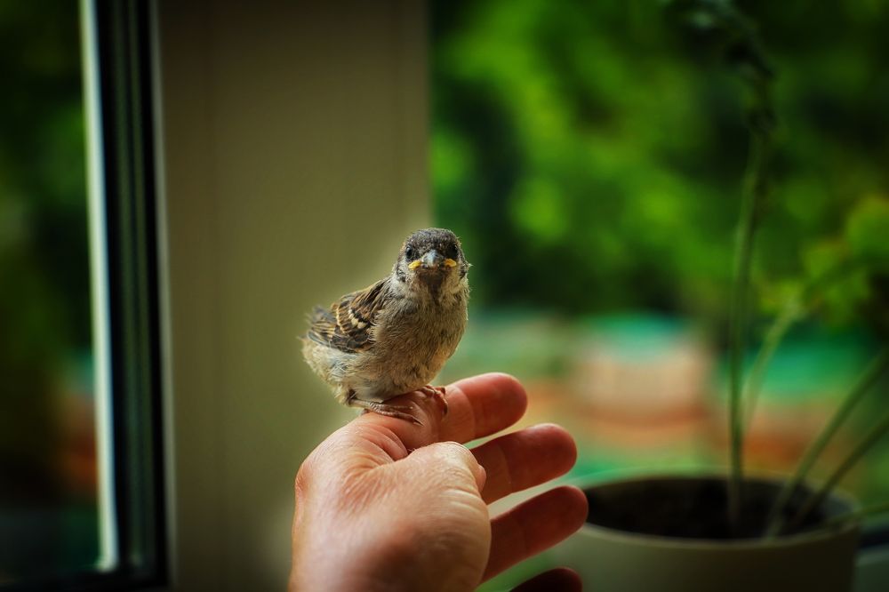 Photograph by Людмила Савчук