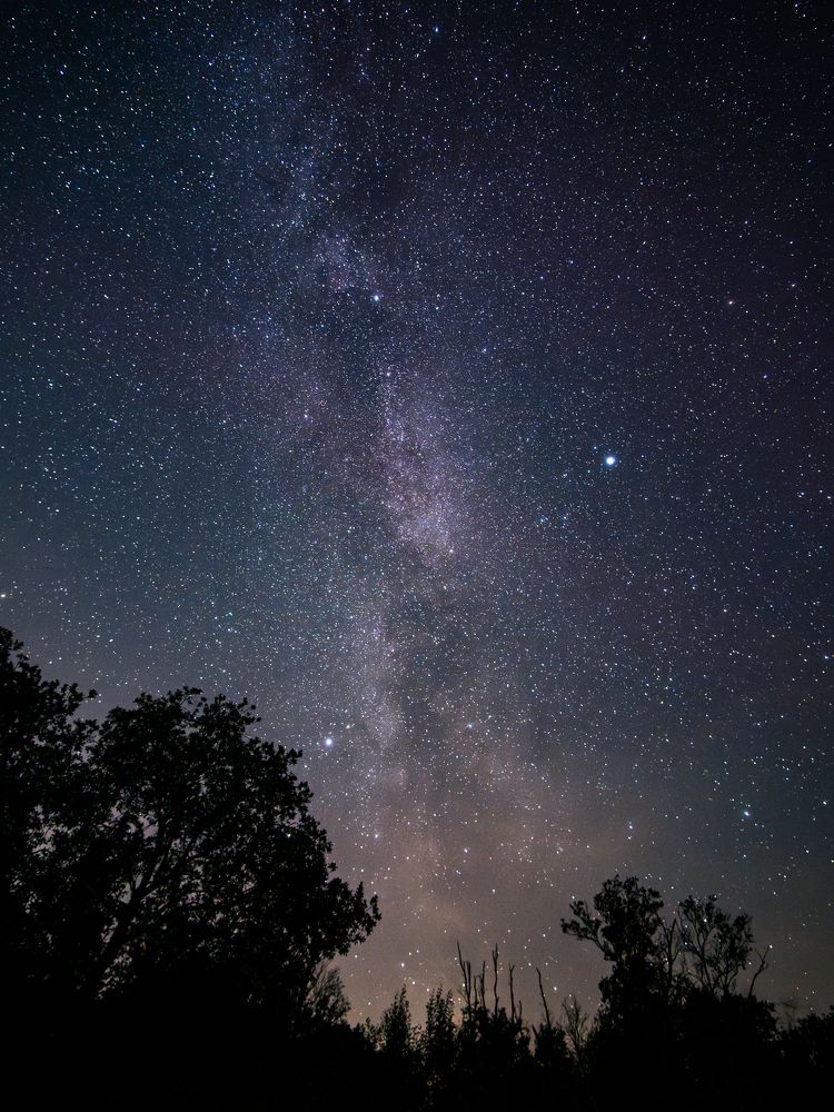 Photograph by Olga Link