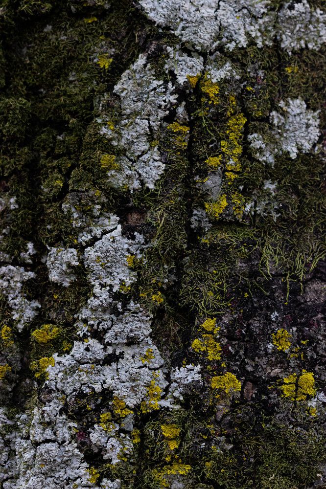 Photograph by Afro Brown