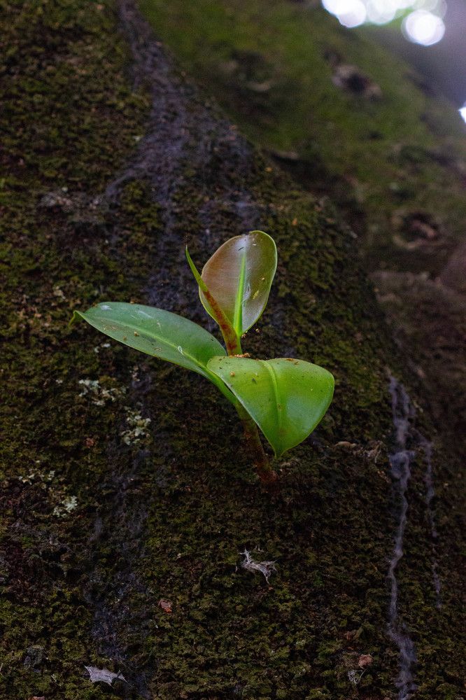 Photograph by Afro Brown