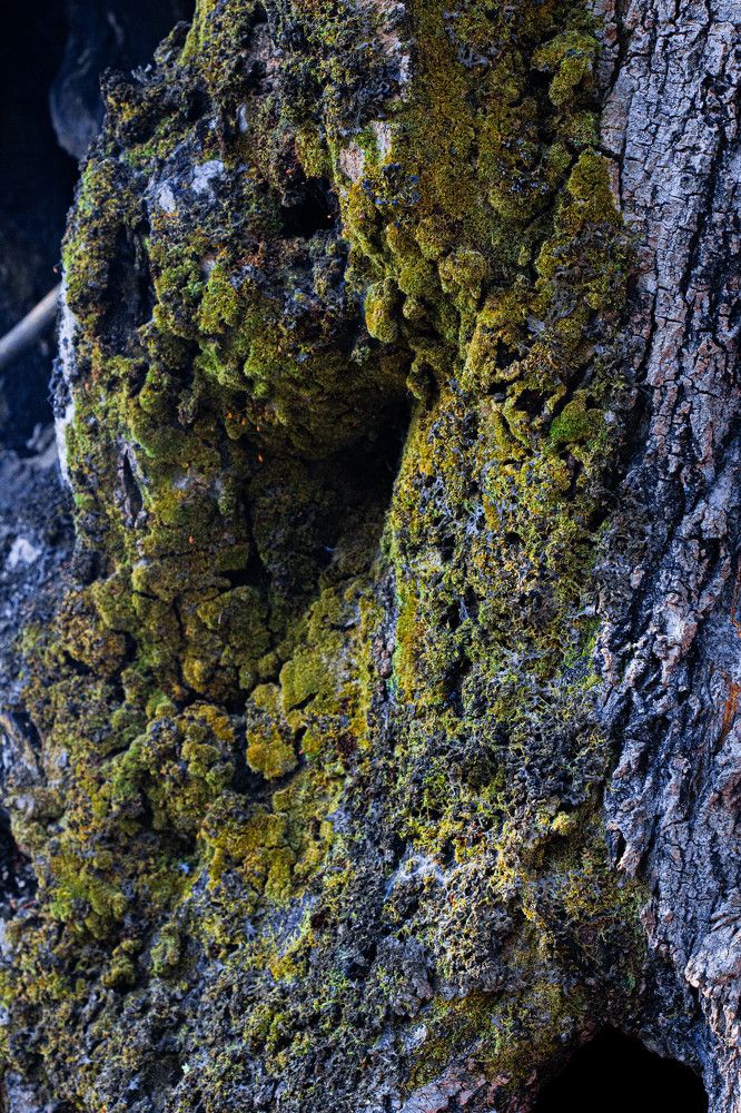 Photograph by Afro Brown