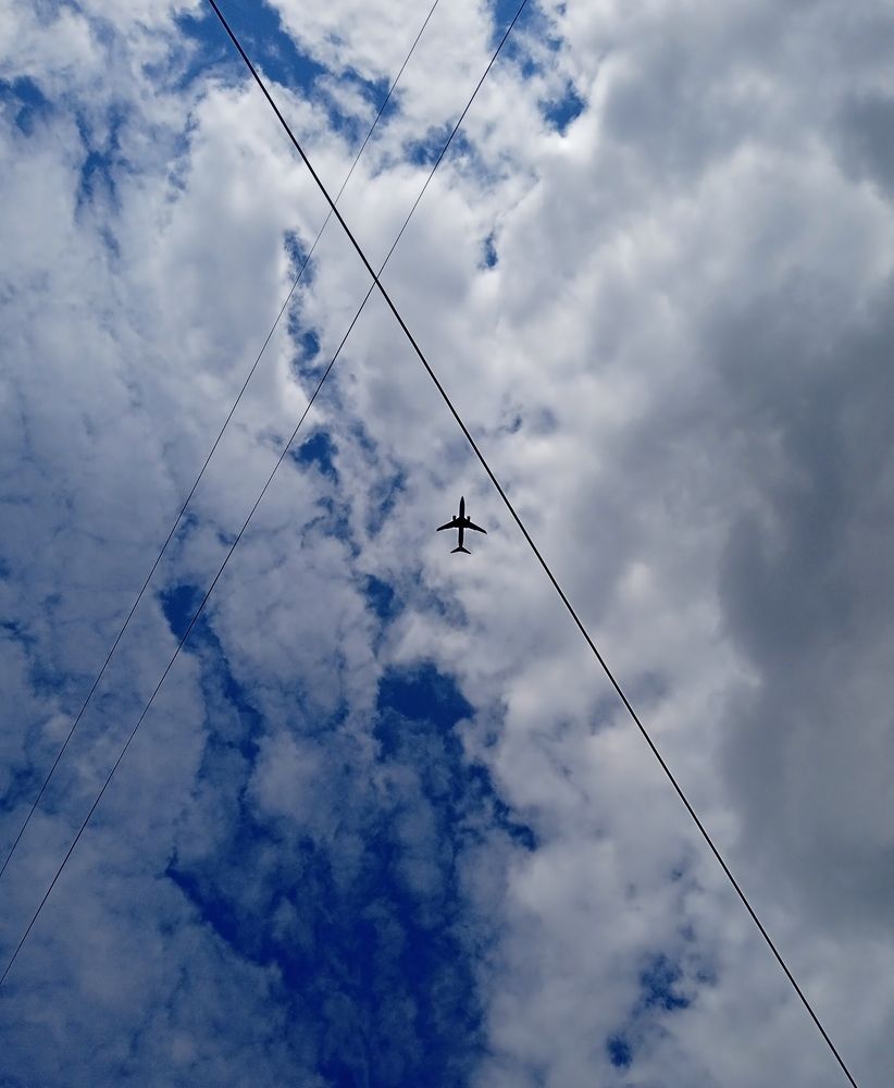 Photo #9699199
