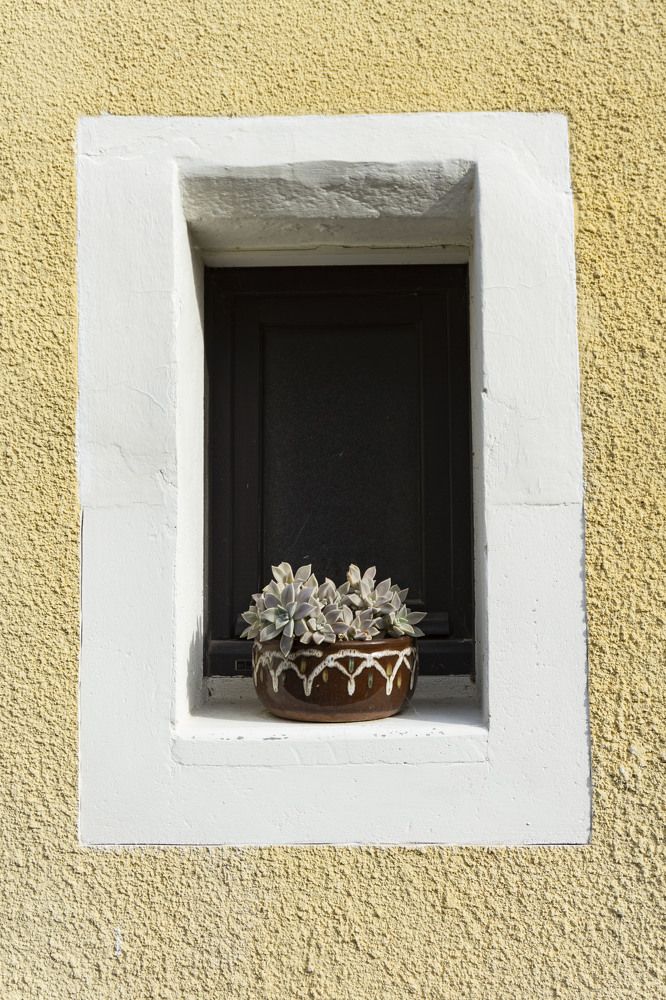 Photograph by Анастасия Морозова