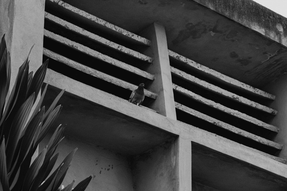 Photograph by Afro Brown