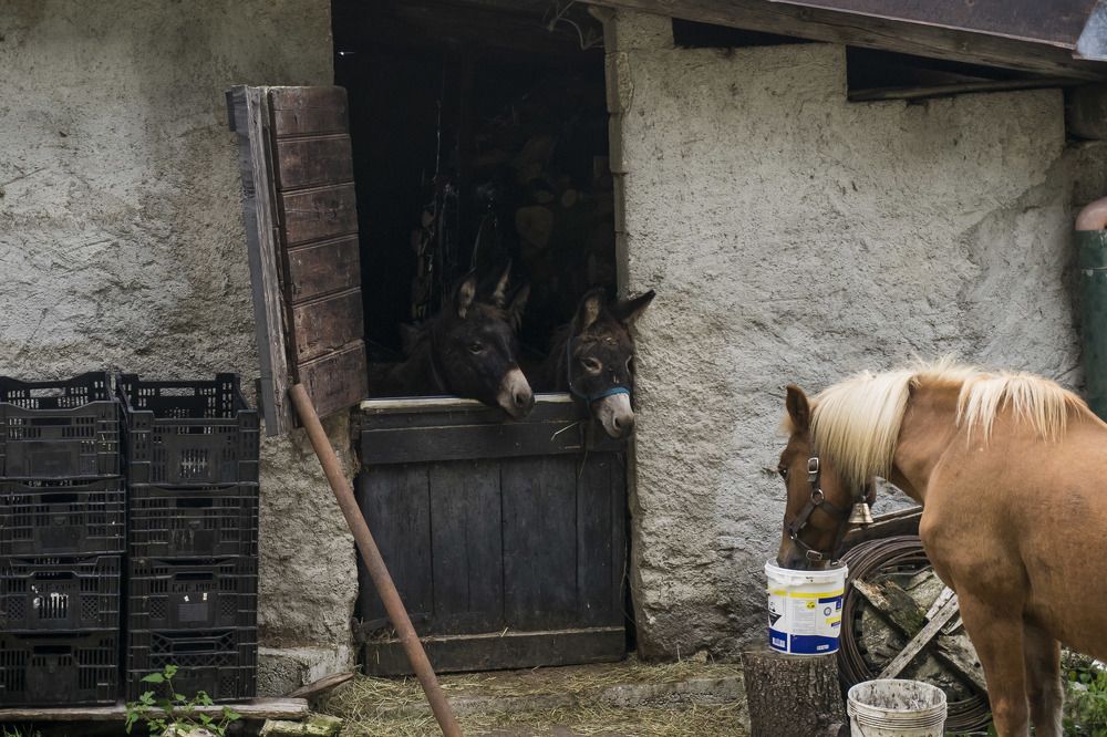 Photograph by Sergei Komlev