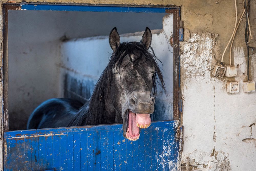 Photograph by KRITER AHMED