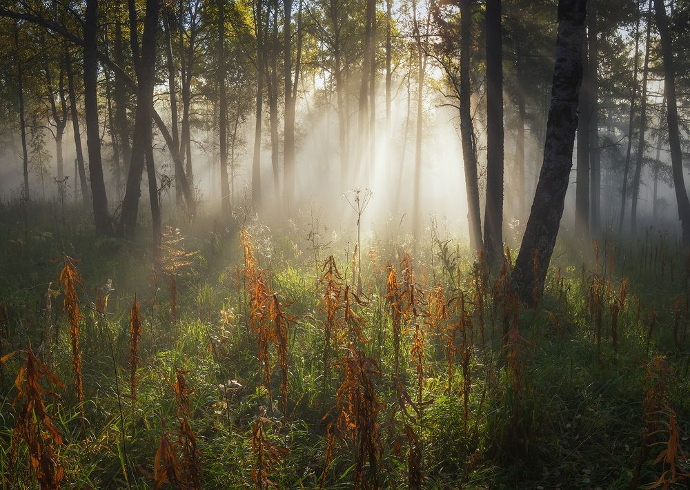 Photograph by Лещёнок Александр